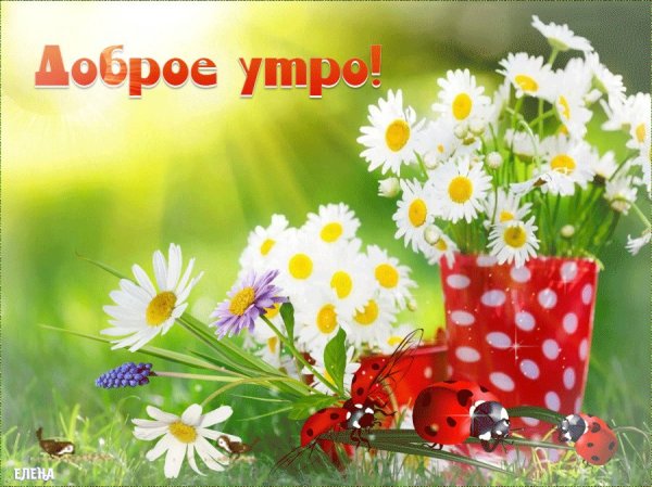 Доброе утро группа