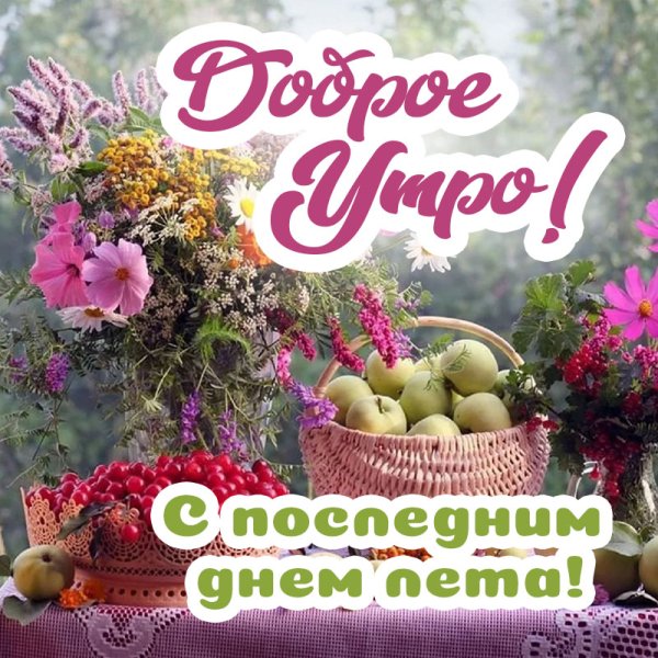 Доброе летнее утро последние дни августа