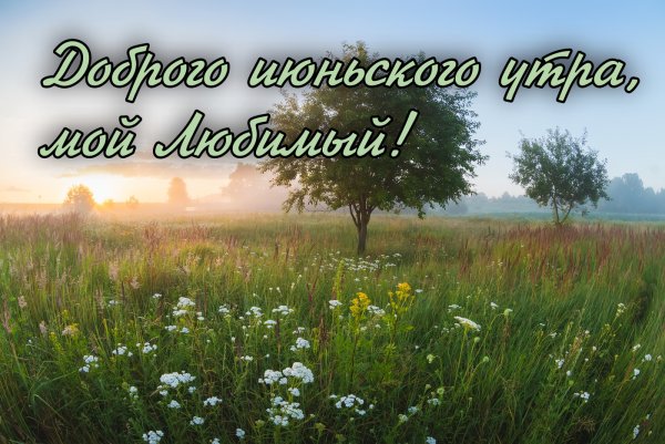 Доброе утро июнь