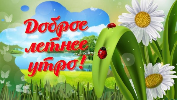 С добрым летним утром