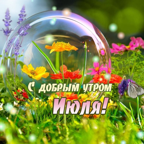 Поздравления с летним утром