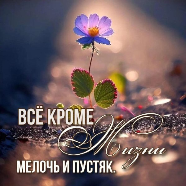 С добрым утром
