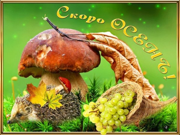 Скоро осень