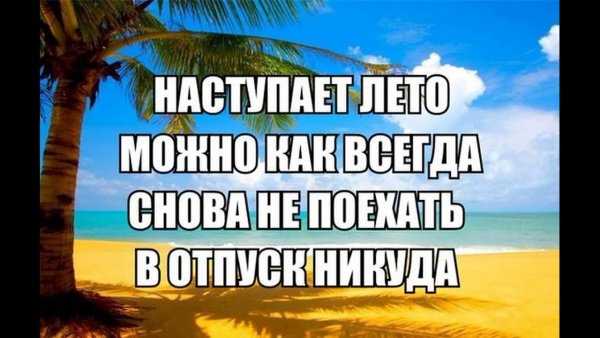 Смешные цитаты про лето