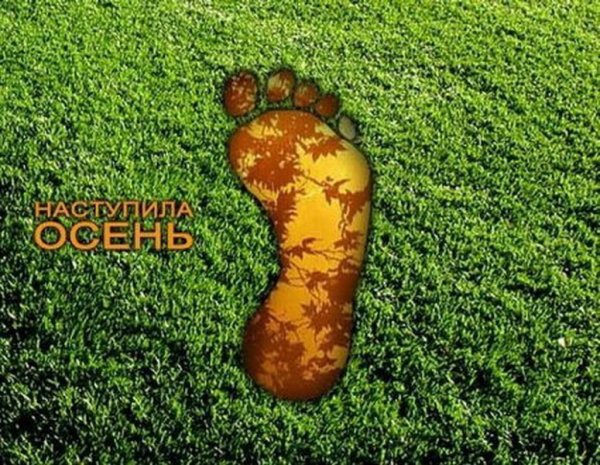 Осень наступила юмор