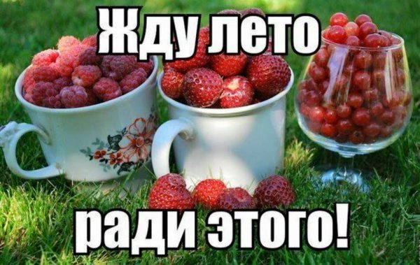 Жду лето
