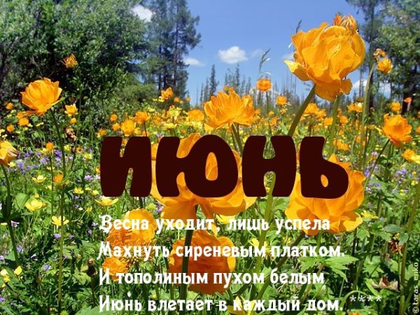 Июнь надпись