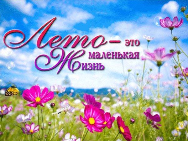 С летом поздравления
