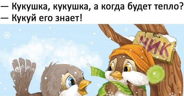 Кукушка Кукушка когда будет тепло