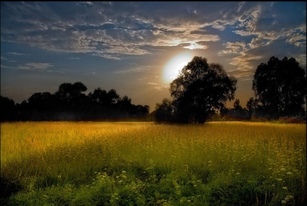 Ф. И. Тютчев. «Тихой ночью, поздним летом…»