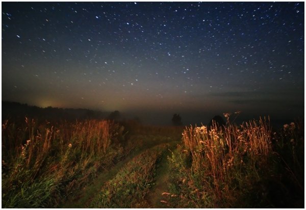 Ночь в деревне летом