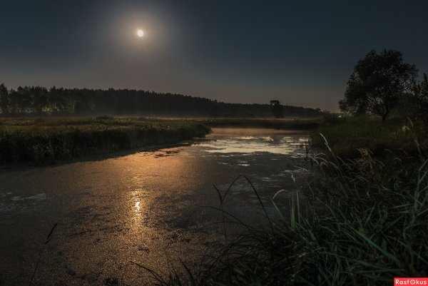 Ночное поле с луной