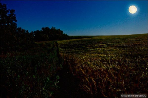 Майская ночь картина Фет