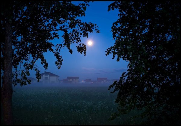 Ночной пейзаж живопись