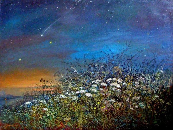 Лунная ночь в деревне