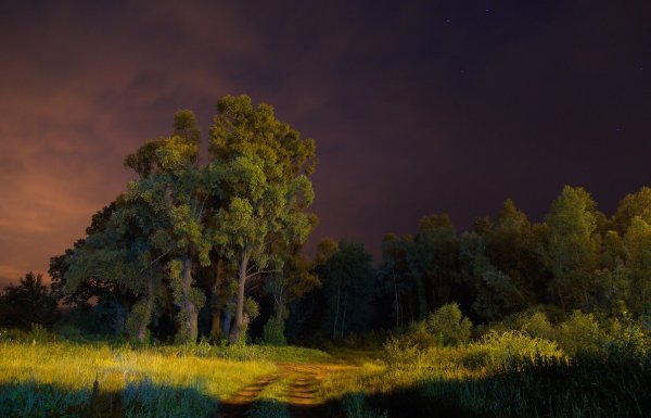 Ночной пейзаж живопись