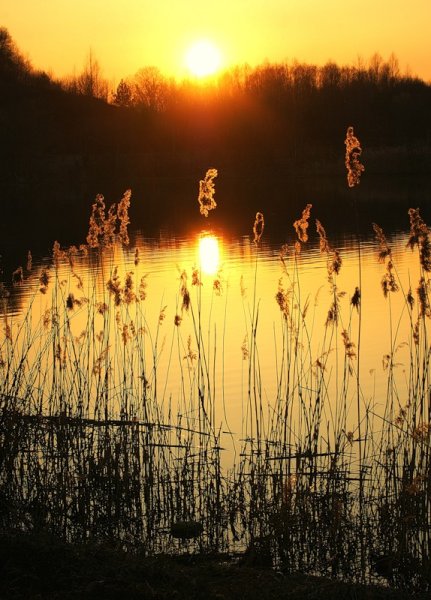 Озеро ночью