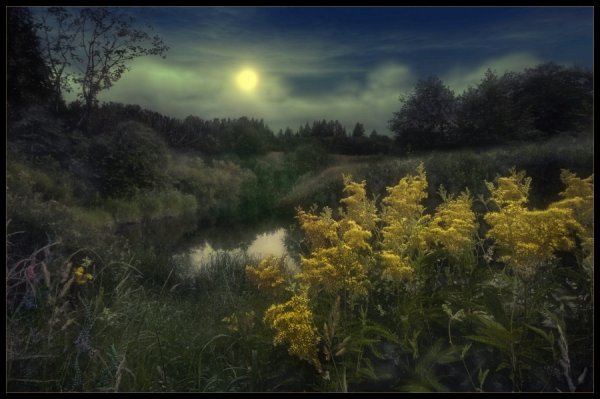 Тихого спокойного вечера