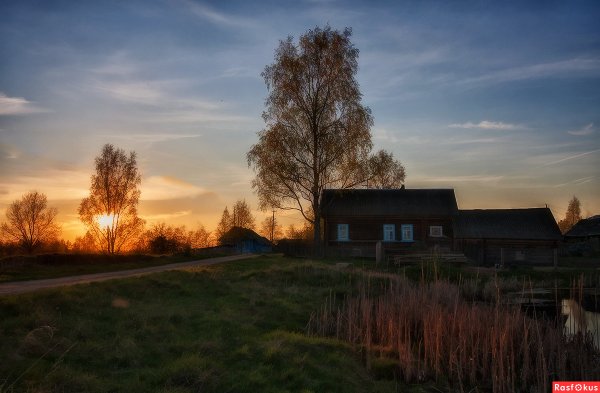 Ночь в деревне летом