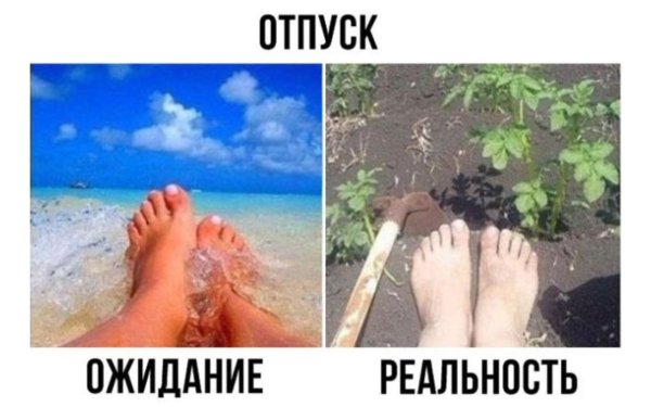 Отпуск ожидание и реальность