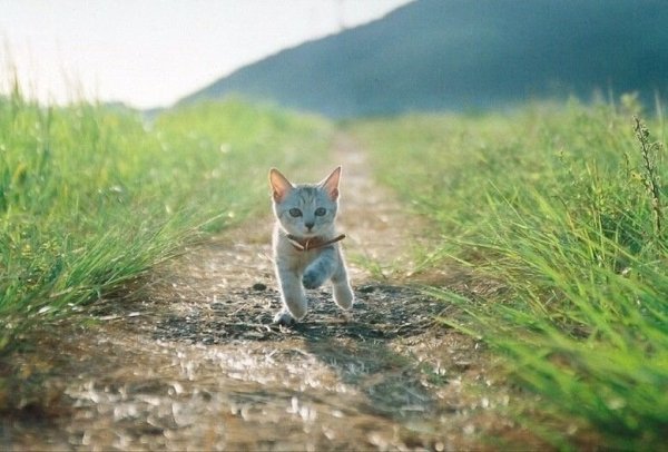 Лето я скучаю