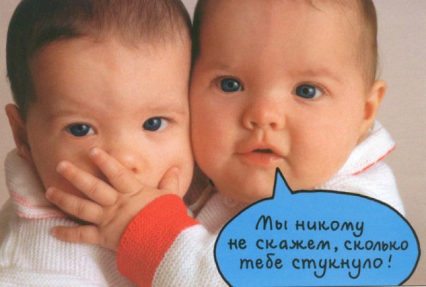 Задача с котиками