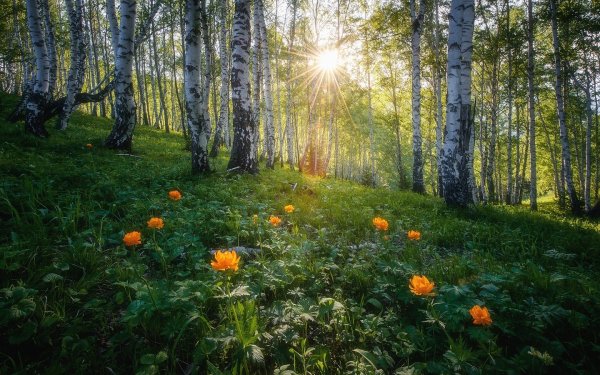Природа река