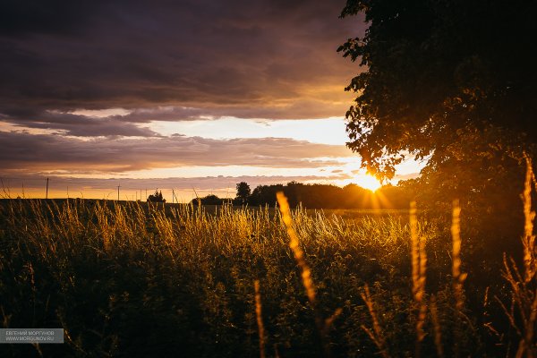 Лето поле закат