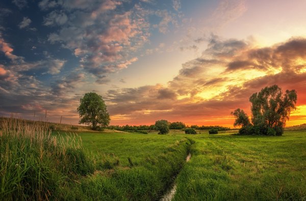 Лето вечер природа