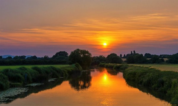 Море закат цветы