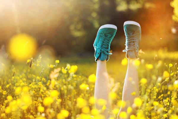 Природа солнце