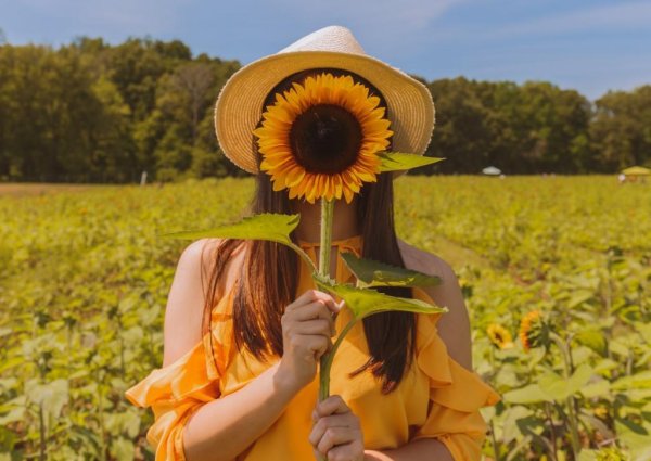 Природа рассвет