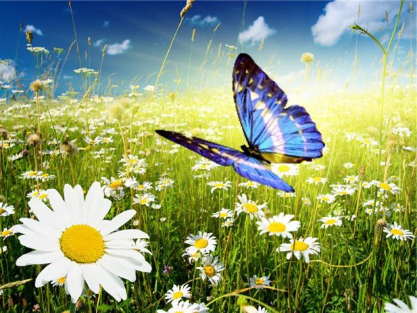 Позитивная девушка