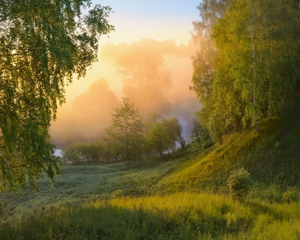 Летнее утро