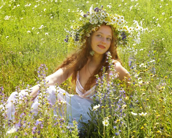 Фредерик Джон Ллойд Стревенс картины