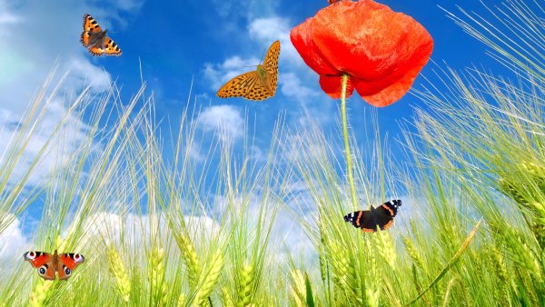 Яркая природа