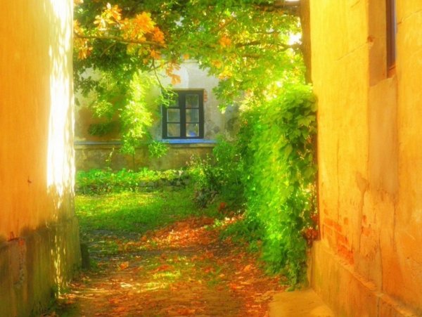 Солнечный двор