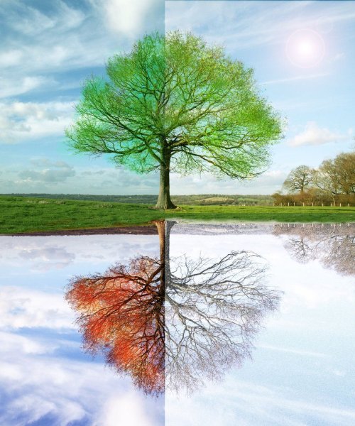 Фон 4 времени года