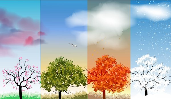 Дерево зимой и летом