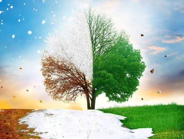 4 Сезона года