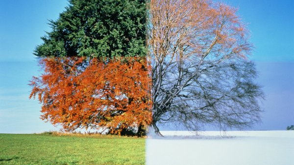 Разные времена года