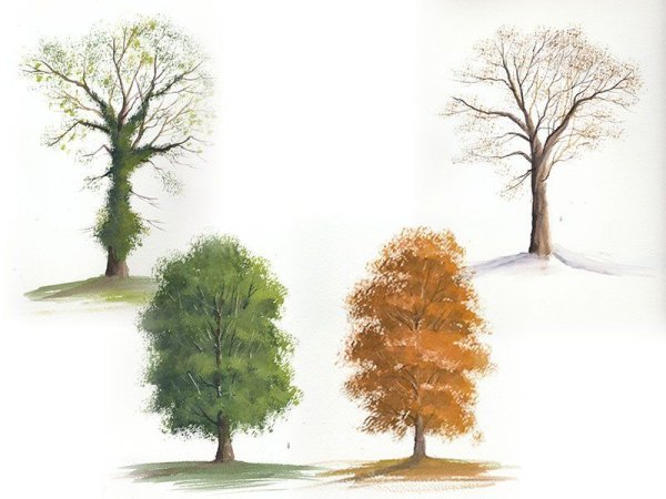 4 Сезона года