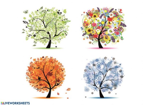 Дерево по сезонам