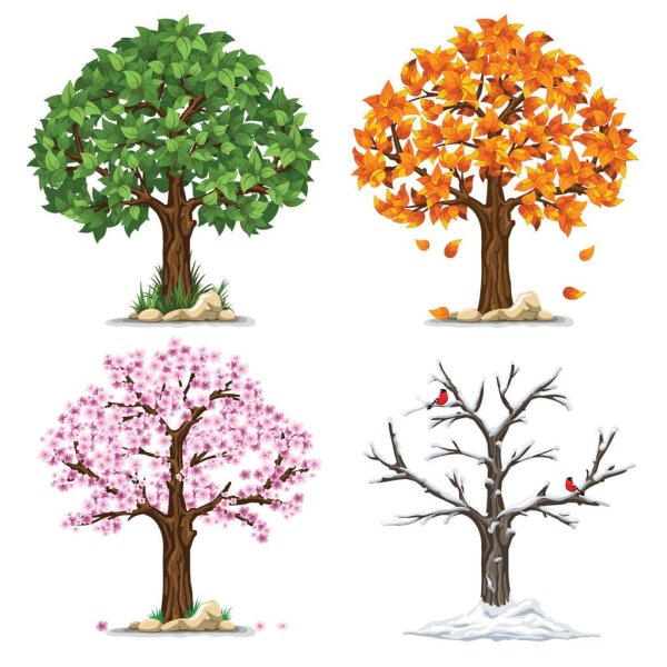 Дерево сезонов