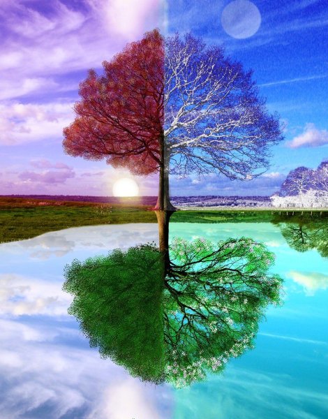 Пейзаж времена года дерево