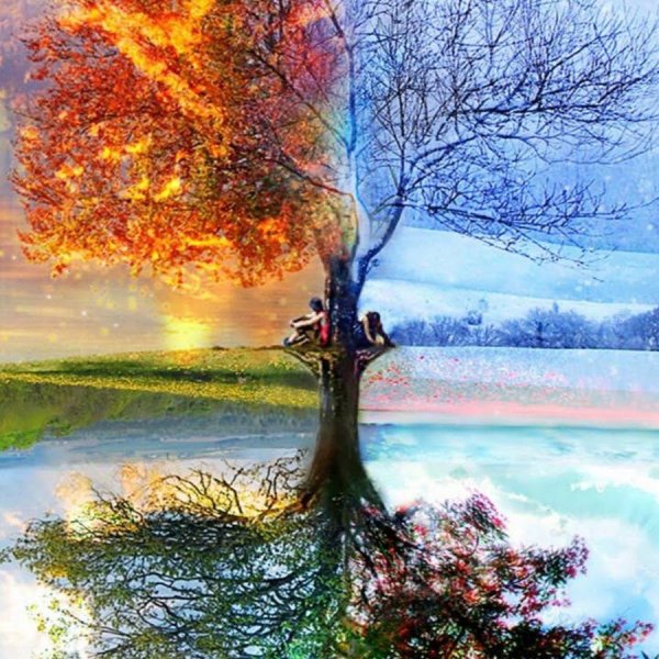 Дерево четыре времени года