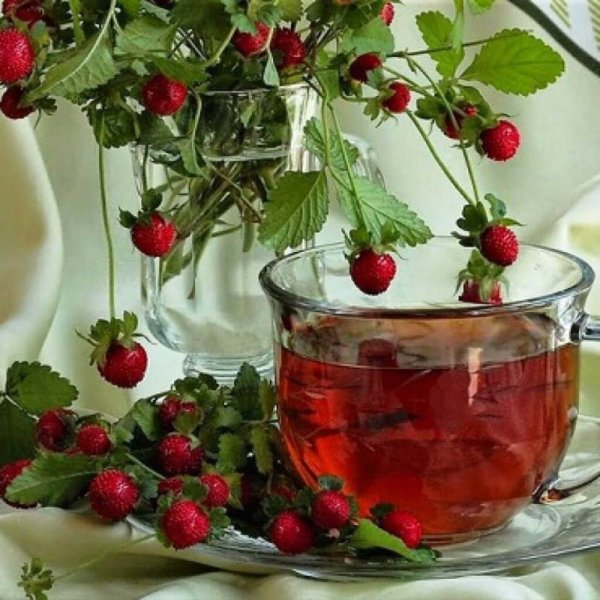 Чай с земляникой