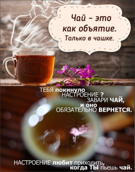 Чай с кем попало не пьют чай это личное