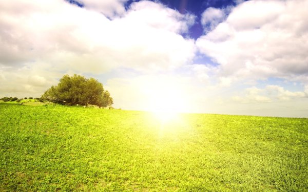 Пейзаж лето