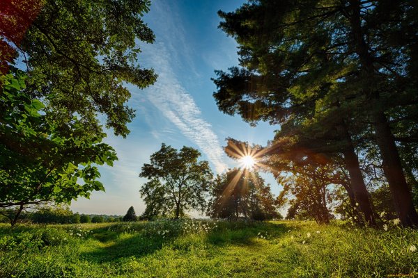 Русь природа солнце